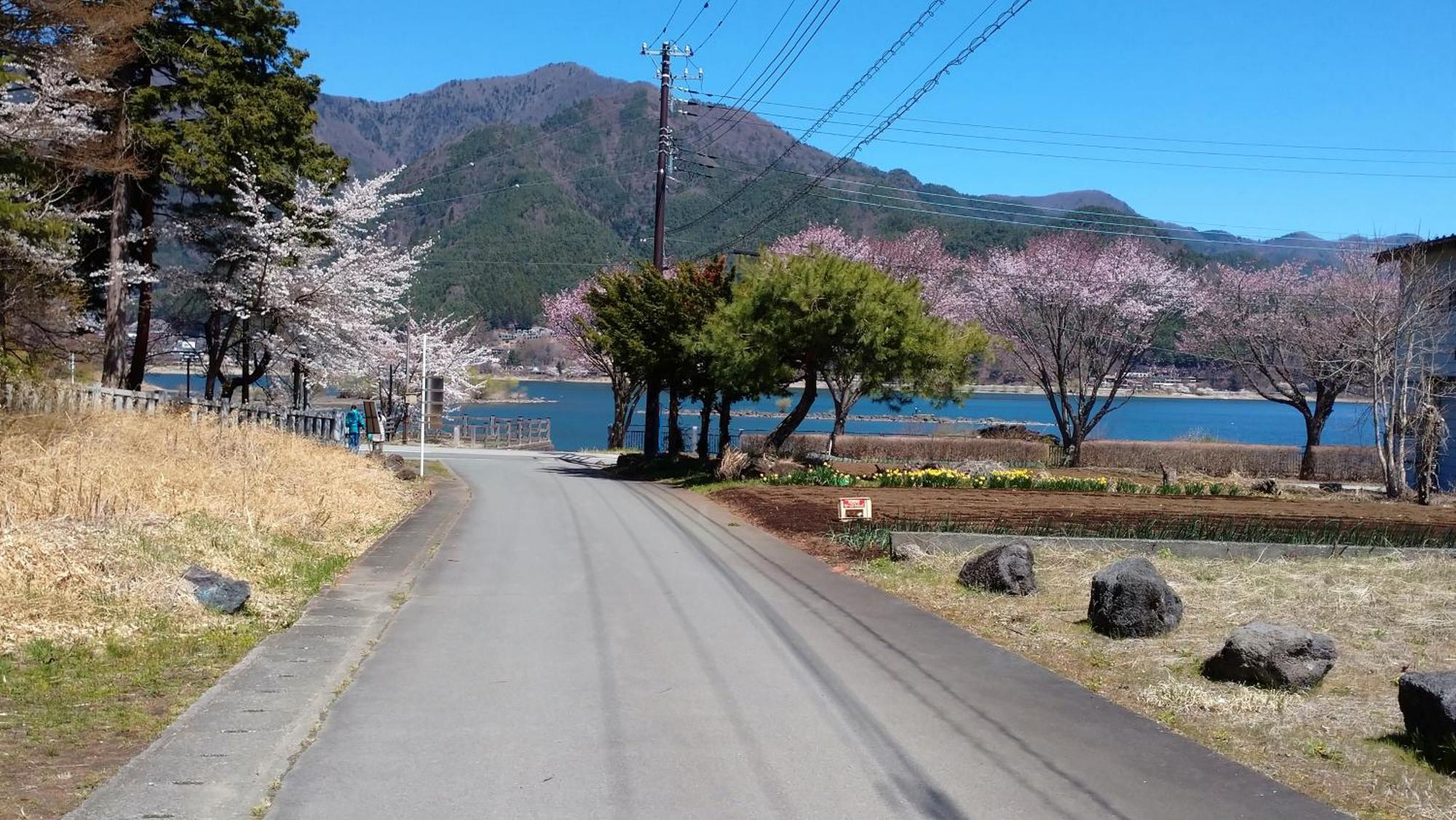 Nishimiyasou Otel Fujikawaguchiko Dış mekan fotoğraf