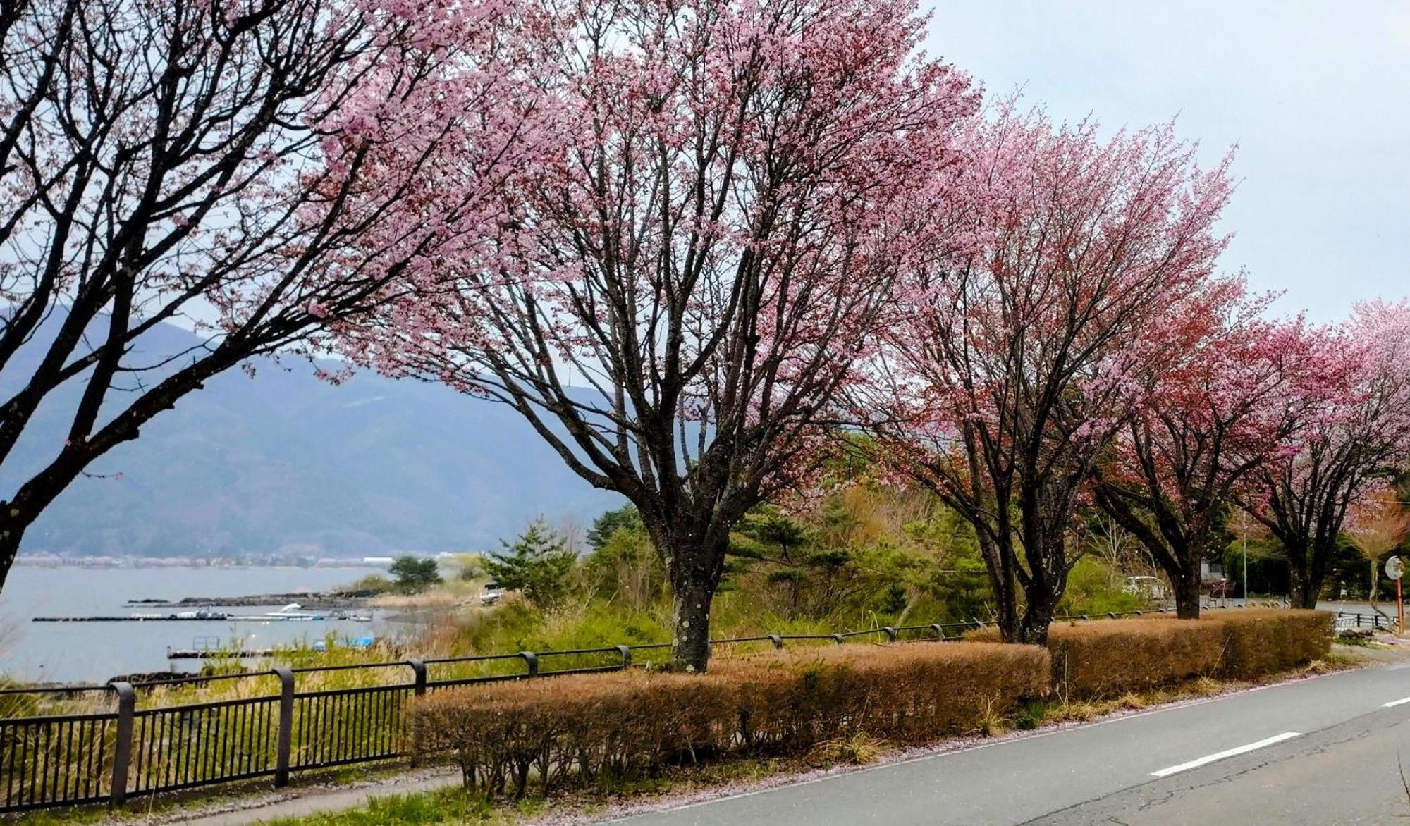 Nishimiyasou Otel Fujikawaguchiko Dış mekan fotoğraf