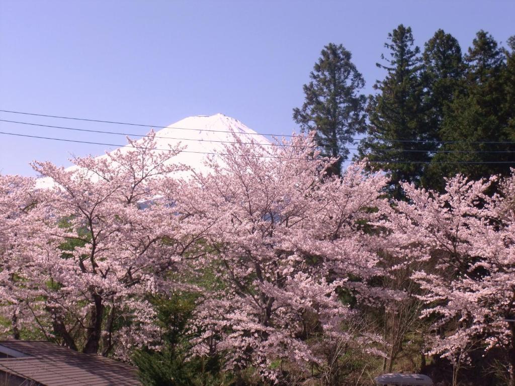 Nishimiyasou Otel Fujikawaguchiko Dış mekan fotoğraf